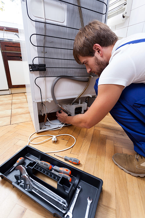 Which fridge damages can be easily repaired? Which fridge damages can be easily repaired?